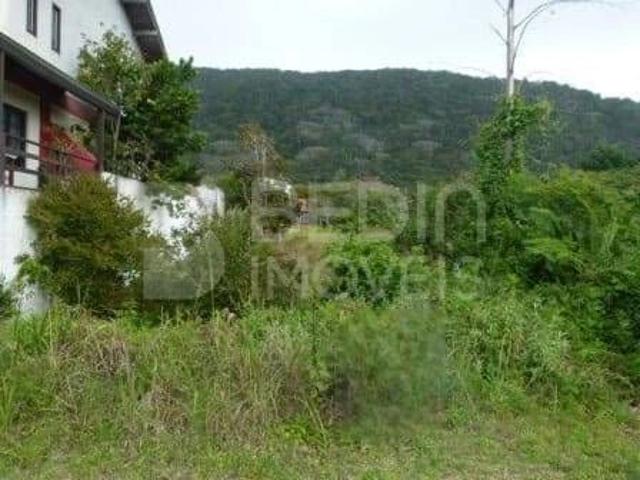 Terreno / Lote para Venda em Balneário Camboriú/SC Praia das Taquaras