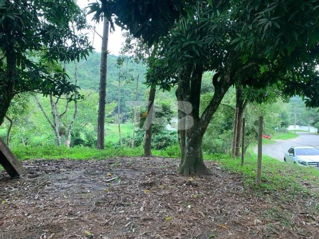 Terreno / Lote para Venda em Balneário Camboriú/SC Praia do Estaleiro
