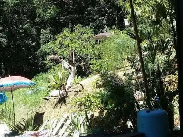 Terreno / Lote para Venda em Balneário Camboriú/SC Praia do Estaleiro