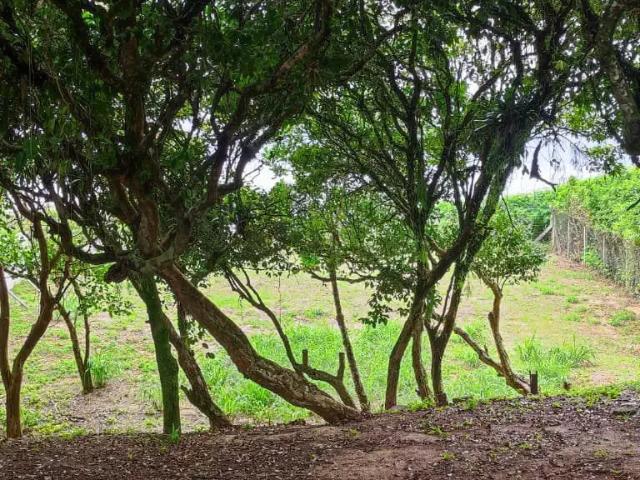 Terreno / Lote para Venda em Balneário Camboriú/SC Praia do Estaleiro