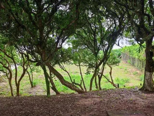 Terreno / Lote para Venda em Balneário Camboriú/SC Praia do Estaleirinho 5 Quartos