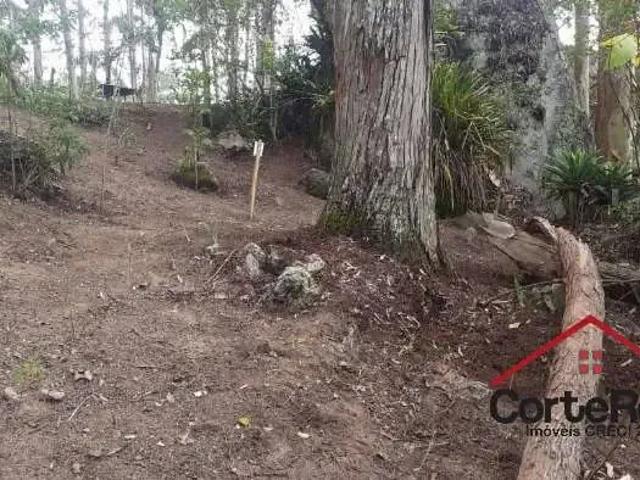 Terreno / Lote para Venda em Balneário Camboriú/SC Praia dos Amores