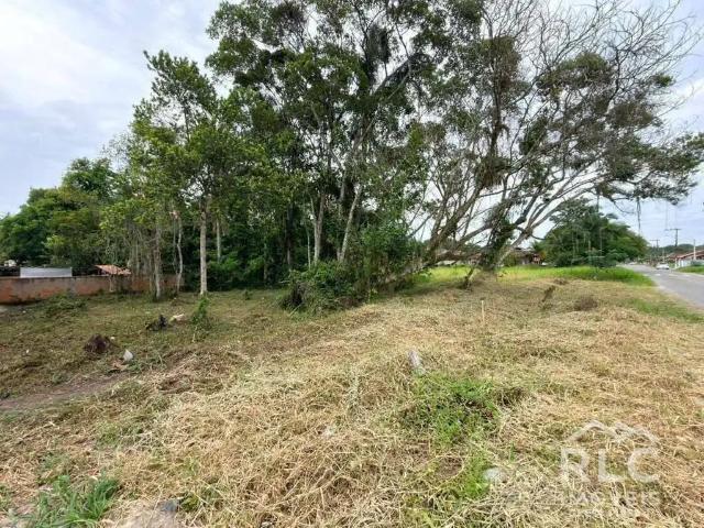 Terreno / Lote para Venda em Balneário Barra do Sul/SC Costeira