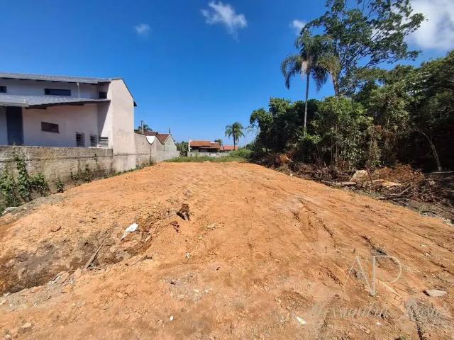Terreno / Lote para Venda em Balneário Barra do Sul/SC Costeira
