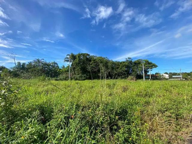 Terreno / Lote para Venda em Balneário Barra do Sul/SC Costeira