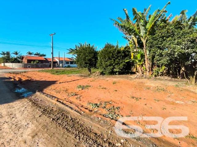 Terreno / Lote para Venda em Balneário Barra do Sul/SC Centro