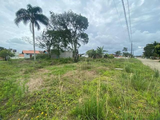 Terreno / Lote para Venda em Balneário Barra do Sul/SC Centro