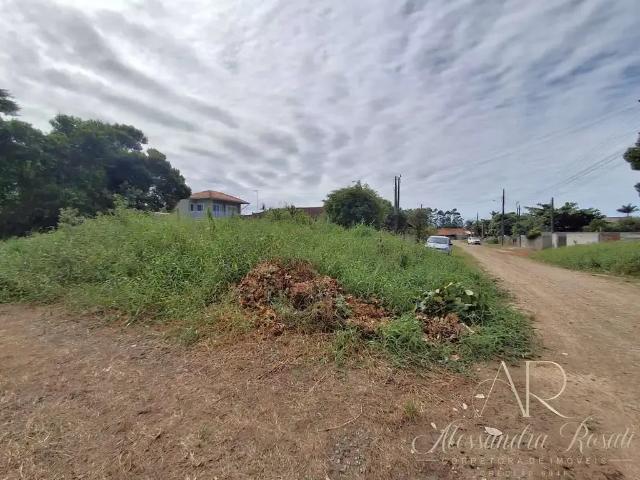 Terreno / Lote para Venda em Balneário Barra do Sul/SC Centro