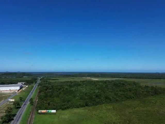 Terreno / Lote para Venda em Balneário Barra do Sul/SC Linguado