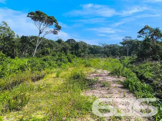 Terreno / Lote para Venda em Balneário Barra do Sul/SC Salinas