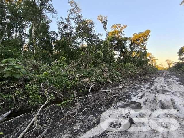 Terreno / Lote para Venda em Balneário Barra do Sul/SC Salinas