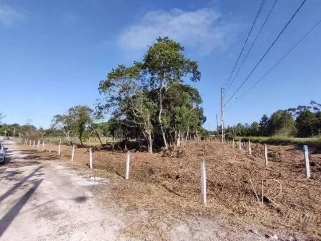 Terreno / Lote para Venda em Balneário Barra do Sul/SC Pinheiros