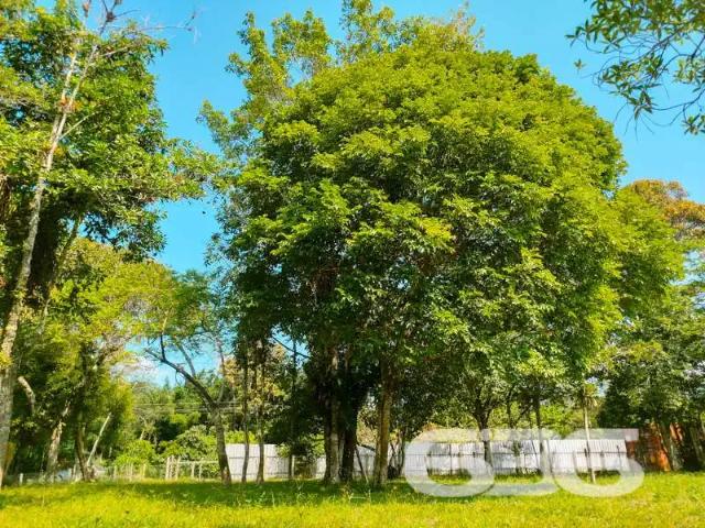 Terreno / Lote para Venda em Balneário Barra do Sul/SC Pinheiros