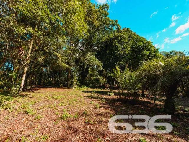 Terreno / Lote para Venda em Balneário Barra do Sul/SC Pinheiros