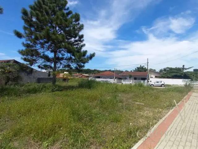 Terreno / Lote para Venda em Balneário Barra do Sul/SC Pinheiros
