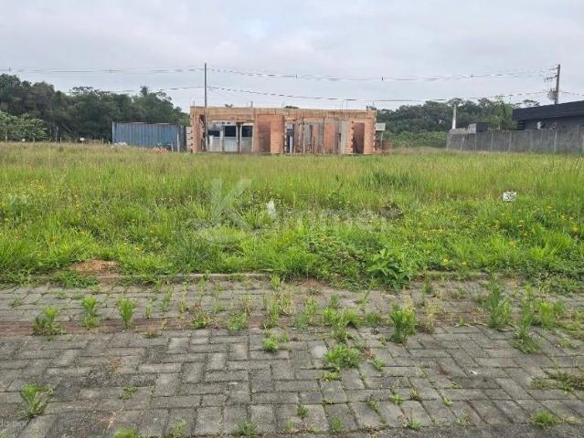 Terreno / Lote para Venda em Balneário Piçarras/SC Centro