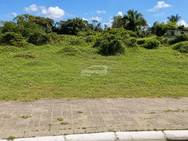 Terreno / Lote para Venda em Balneário Piçarras/SC Itacolomi