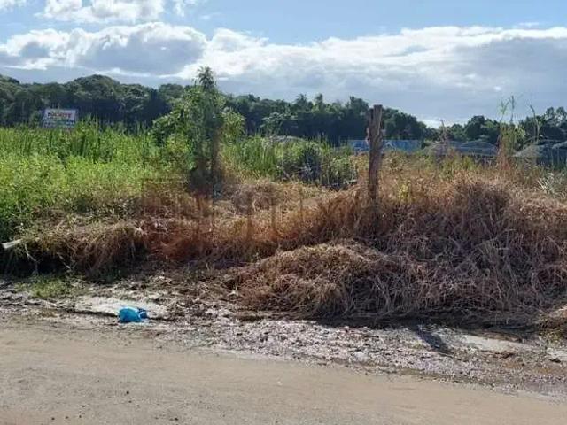 Terreno / Lote para Venda em Balneário Piçarras/SC Itacolomi