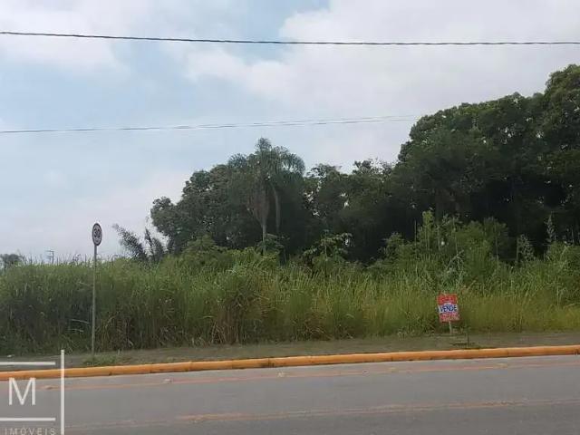 Terreno / Lote para Venda em Balneário Piçarras/SC Itacolomi
