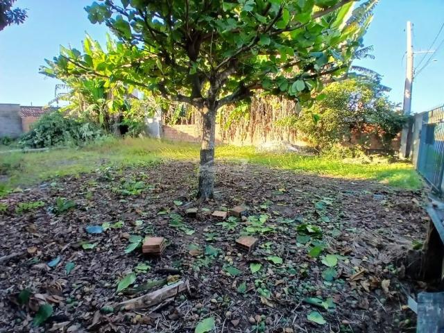Terreno / Lote para Venda em Balneário Piçarras/SC Itacolomi