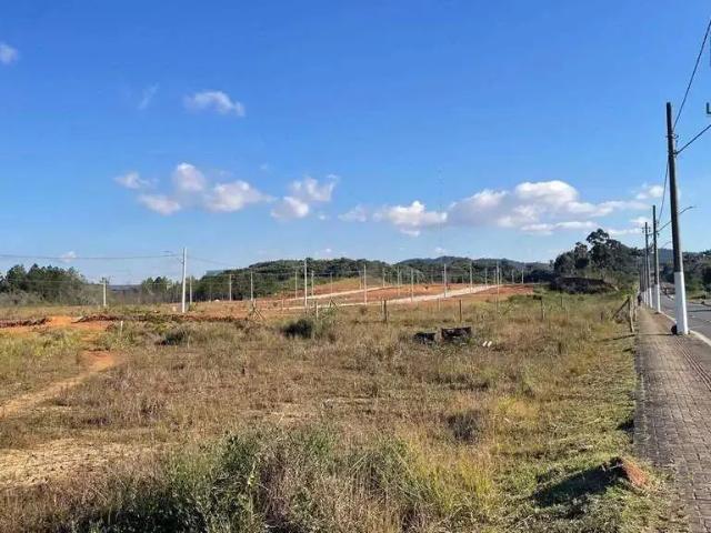 Terreno / Lote para Venda em Balneário Piçarras/SC Nossa Senhora da Conceição