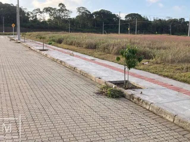 Terreno / Lote para Venda em Balneário Piçarras/SC Nossa Senhora da Conceição