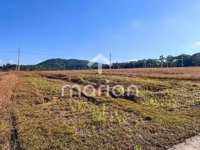 Terreno / Lote para Venda em Balneário Piçarras/SC Nossa Senhora da Conceição