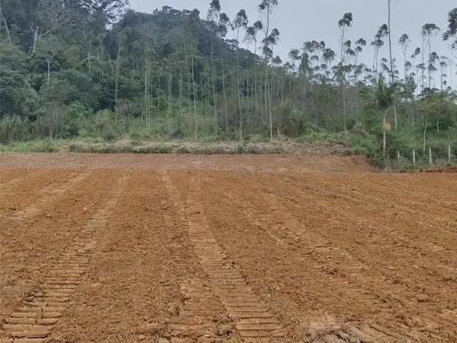 Terreno / Lote para Venda em Balneário Piçarras/SC São Bras