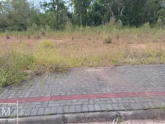 Terreno / Lote para Venda em Balneário Piçarras/SC Santo Antônio