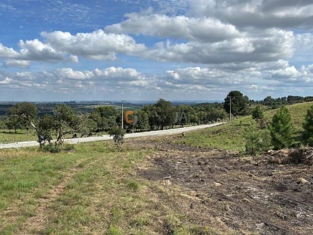 Terreno / Lote para Venda em Balsa Nova/PR Centro