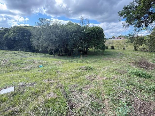 Terreno / Lote para Venda em Balsa Nova/PR Centro