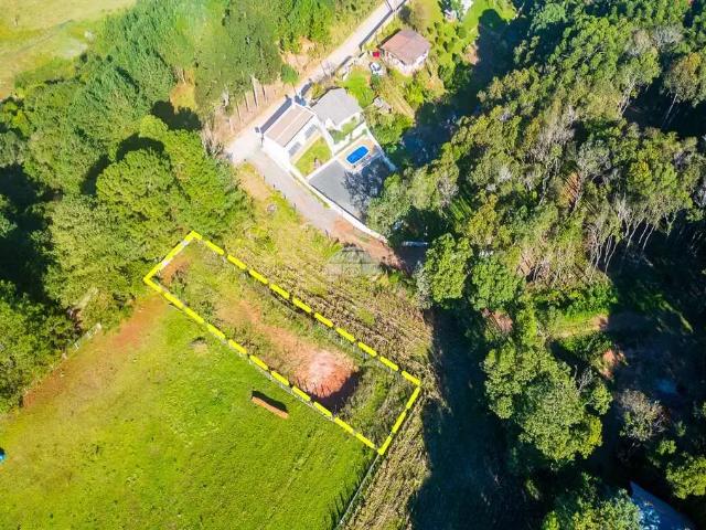 Terreno / Lote para Venda em Balsa Nova/PR Centro