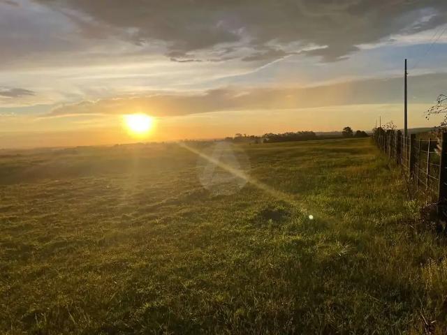Terreno / Lote para Venda em Balsa Nova/PR Centro