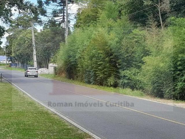 Terreno / Lote para Venda em Balsa Nova/PR Nova Serrinha