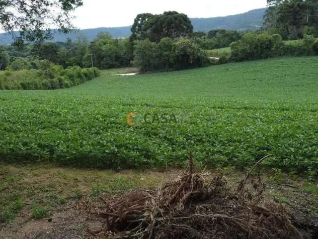 Terreno / Lote para Venda em Balsa Nova/PR Bugre