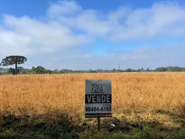 Terreno / Lote para Venda em Balsa Nova/PR Mineiros