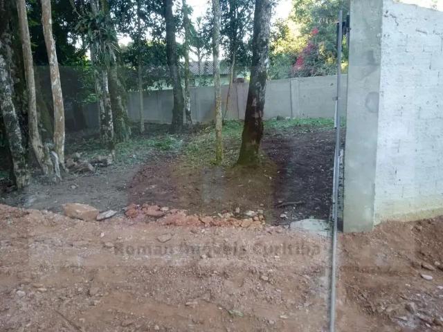 Terreno / Lote para Venda em Balsa Nova/PR Nova Serrinha