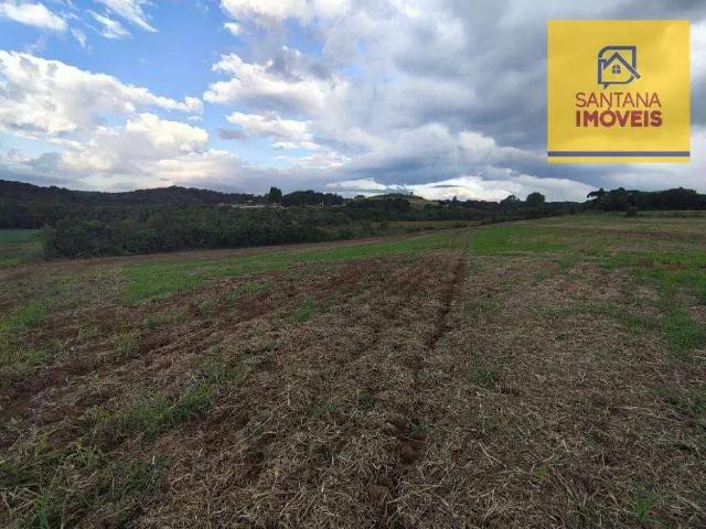Terreno / Lote para Venda em Balsa Nova/PR São Caetano