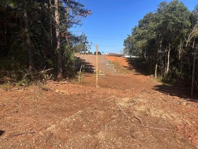Terreno / Lote para Venda em Balsa Nova/PR São Caetano