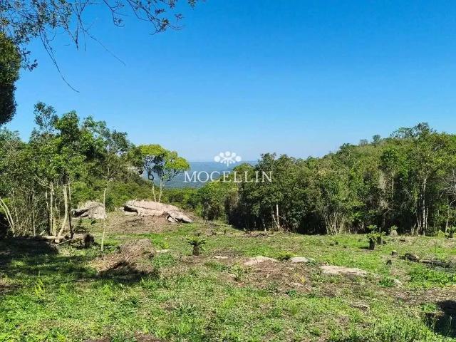 Terreno / Lote para Venda em Balsa Nova/PR São Luiz do Purunã