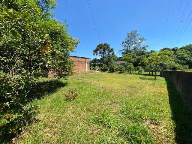 Terreno / Lote para Venda em Balsa Nova/PR São Luiz do Purunã