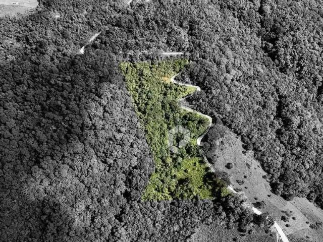 Terreno / Lote para Venda em Balsa Nova/PR São Luiz do Purunã