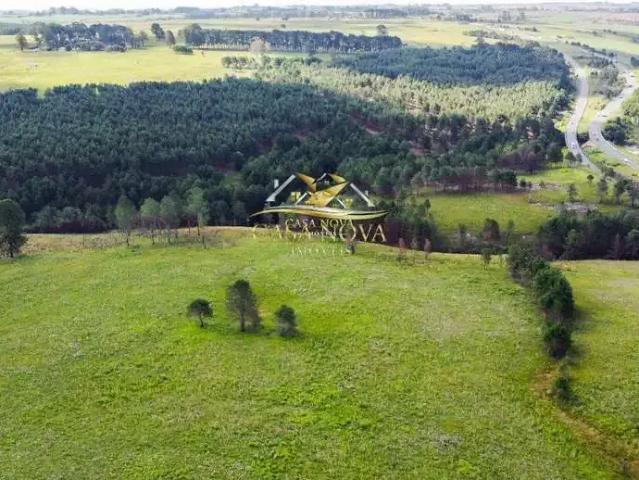 Terreno / Lote para Venda em Balsa Nova/PR São Luiz do Purunã
