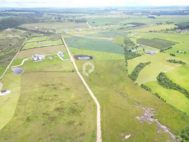 Terreno / Lote para Venda em Balsa Nova/PR São Luiz do Purunã