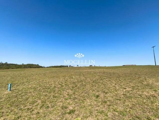 Terreno / Lote para Venda em Balsa Nova/PR São Luiz do Purunã