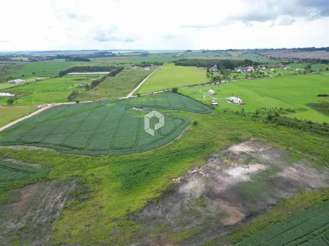 Terreno / Lote para Venda em Balsa Nova/PR São Luiz do Purunã