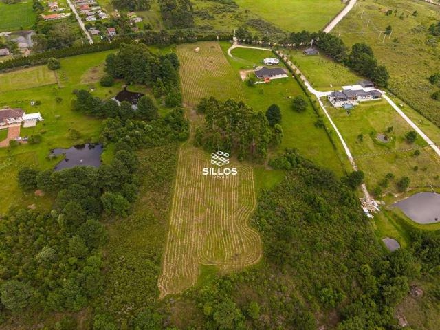 Terreno / Lote para Venda em Balsa Nova/PR São Luiz do Purunã