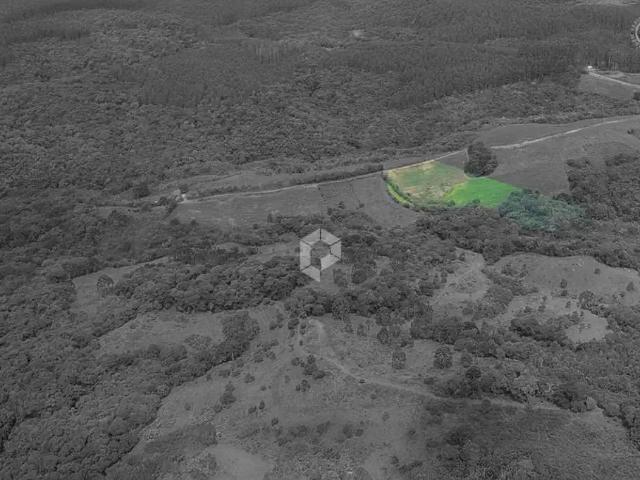 Terreno / Lote para Venda em Balsa Nova/PR São Luiz do Purunã