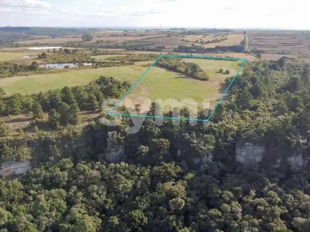 Terreno / Lote para Venda em Balsa Nova/PR São Luiz do Purunã