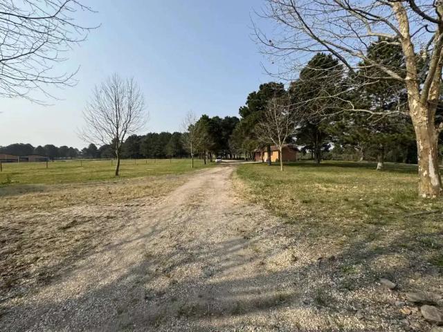 Terreno / Lote para Venda em Balsa Nova/PR São Luiz do Purunã
